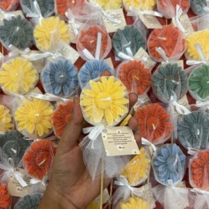 Daisy with net and stick floral